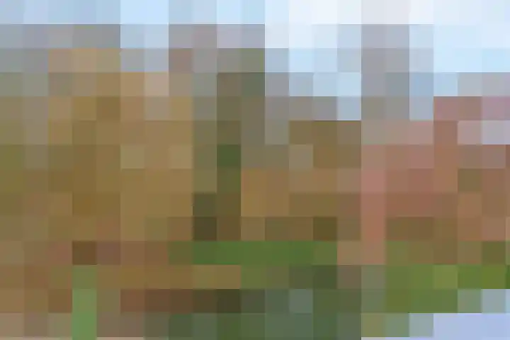 Wolweverslaan 11 De Meern thumbnail 37