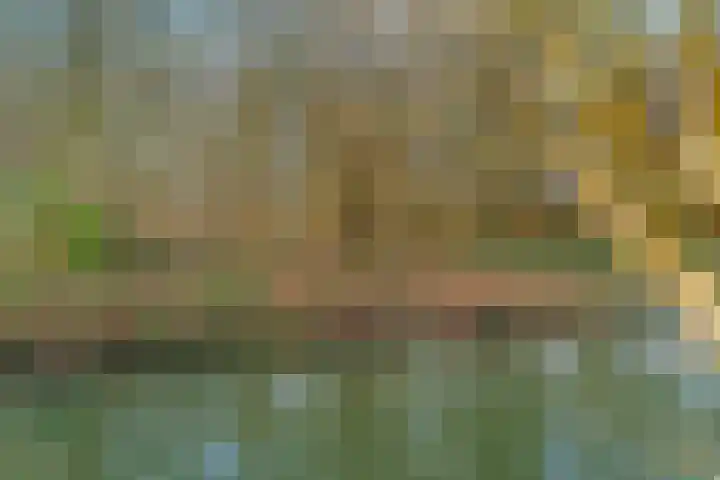 Wolweverslaan 11 De Meern thumbnail 39