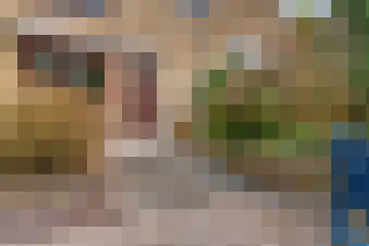 Wolweverslaan 11 De Meern thumbnail 4
