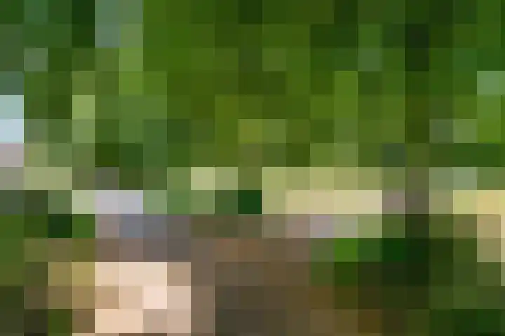 Wolweverslaan 11 De Meern thumbnail 44