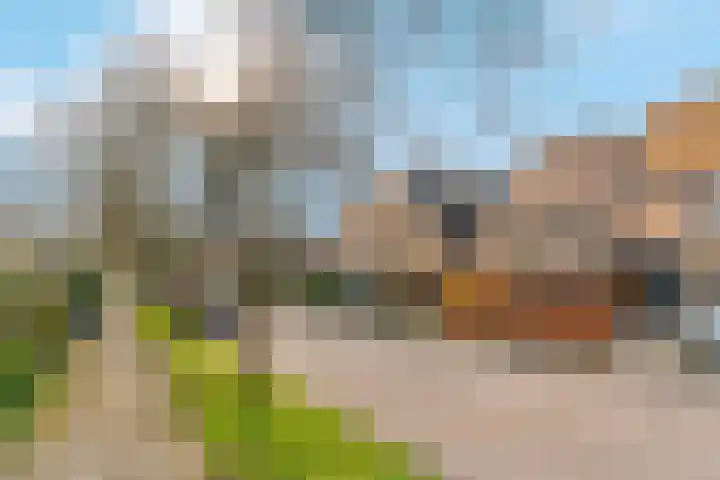 Wolweverslaan 11 De Meern thumbnail 49