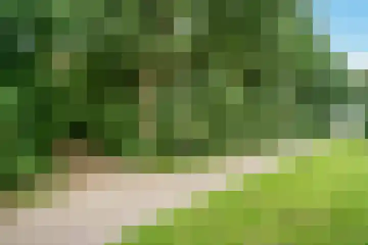 Wolweverslaan 11 De Meern thumbnail 50