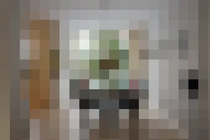 Wolweverslaan 44 De Meern thumbnail 8