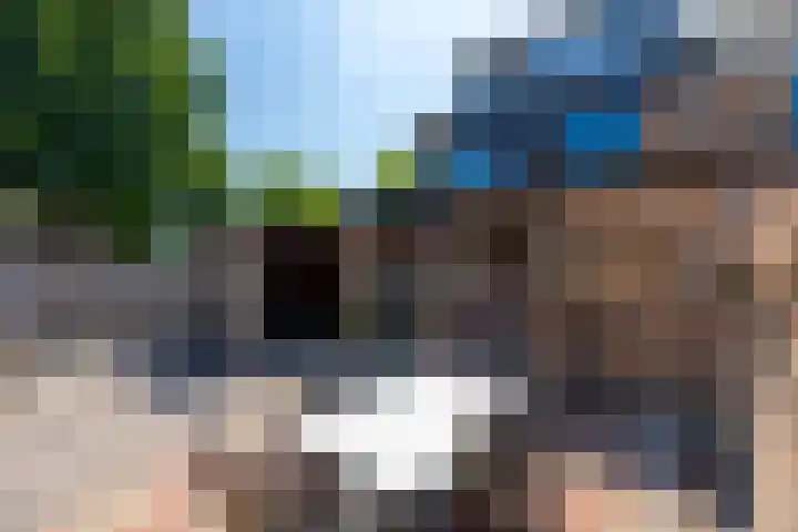 Wolweverslaan 52 De Meern thumbnail 14