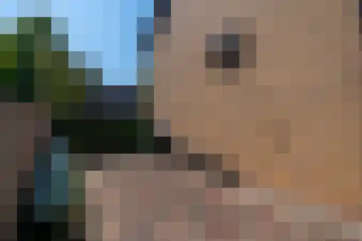 Wolweverslaan 52 De Meern thumbnail 18