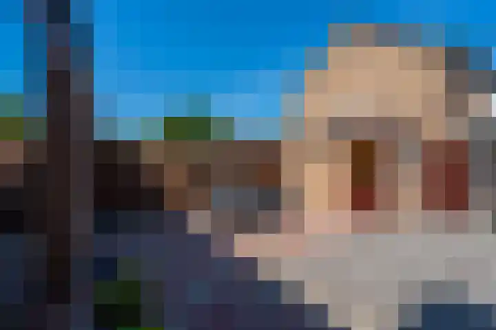Wolweverslaan 52 De Meern thumbnail 21