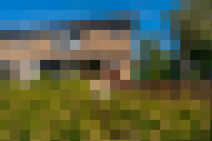 Wolweverslaan 52 De Meern thumbnail 40