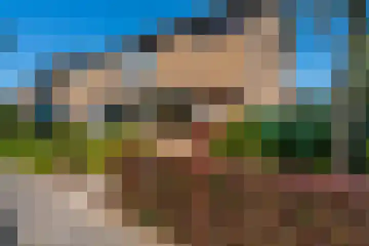 Wolweverslaan 52 De Meern thumbnail 41