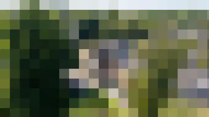 Wolweverslaan 52 De Meern thumbnail 45