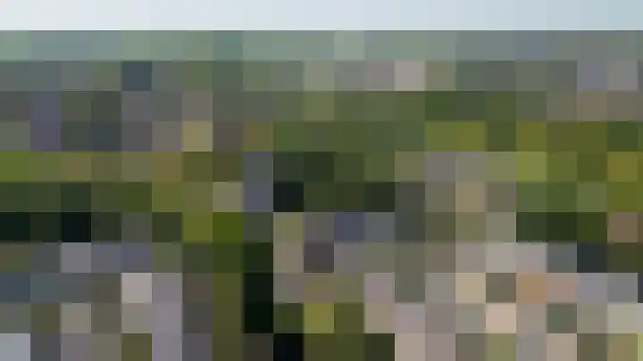 Wolweverslaan 52 De Meern thumbnail 46
