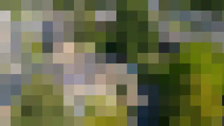 Wolweverslaan 52 De Meern thumbnail 49
