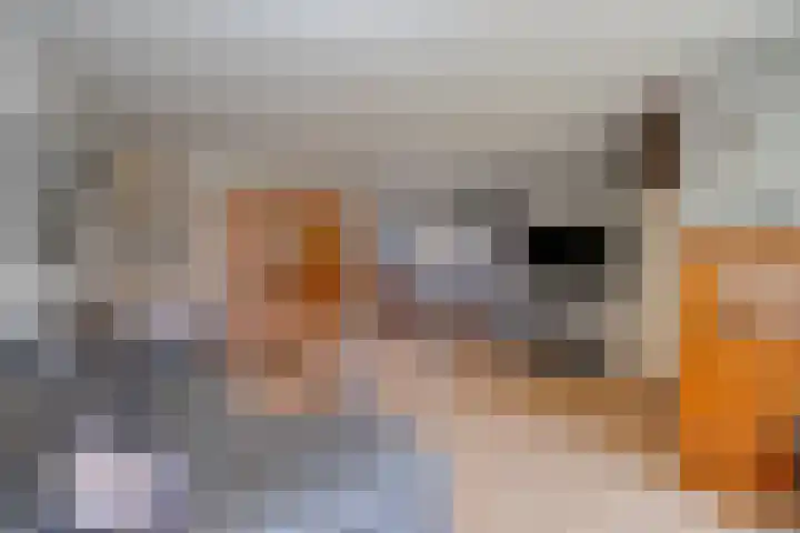 Wolweverslaan 52 De Meern thumbnail 6