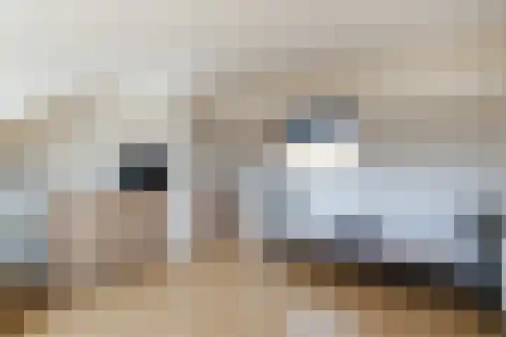 Wolweverslaan 62 De Meern thumbnail 17