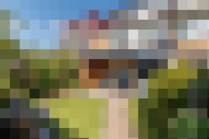 Wolweverslaan 62 De Meern thumbnail 21