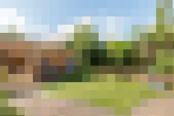 Wolweverslaan 62 De Meern thumbnail 22
