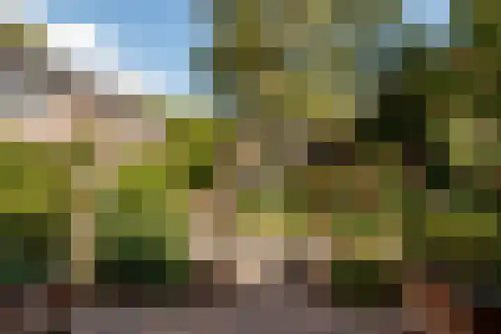 Wolweverslaan 62 De Meern thumbnail 23