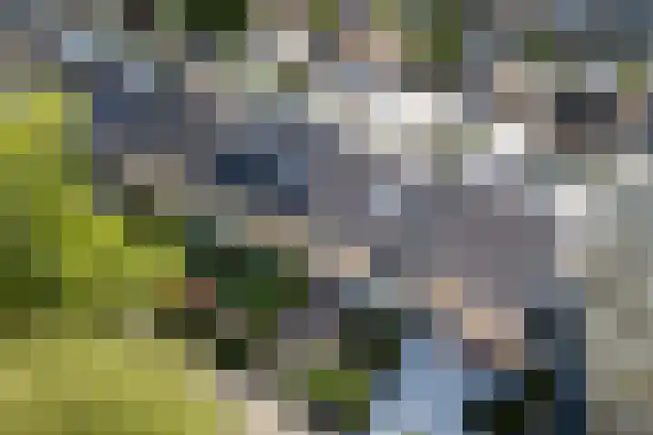 Wolweverslaan 62 De Meern thumbnail 24
