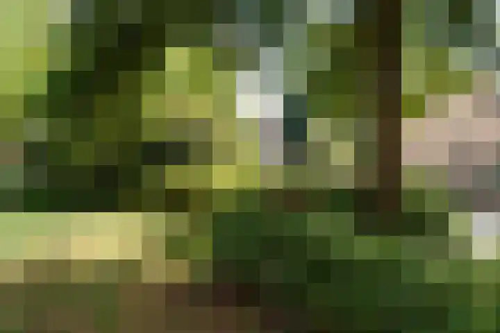 Wolweverslaan 62 De Meern thumbnail 26