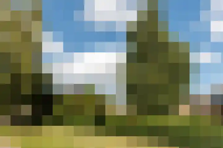Wolweverslaan 62 De Meern thumbnail 27
