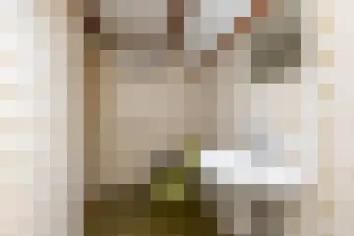 Wolweversstraat 1 Wezep thumbnail 14