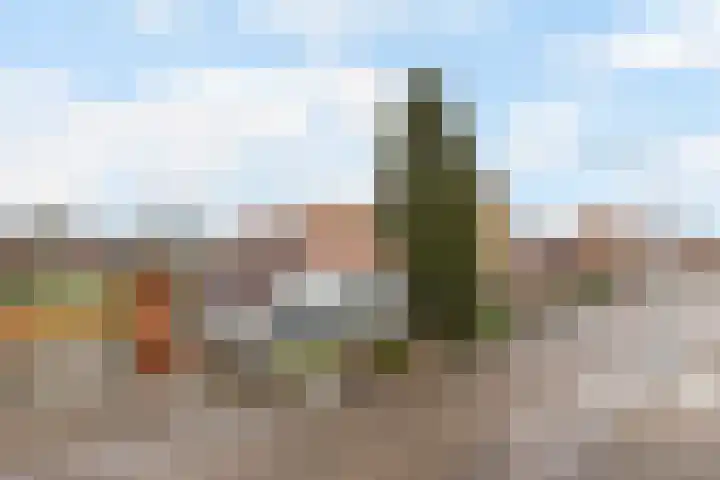 Wolweversstraat 1 Wezep thumbnail 19