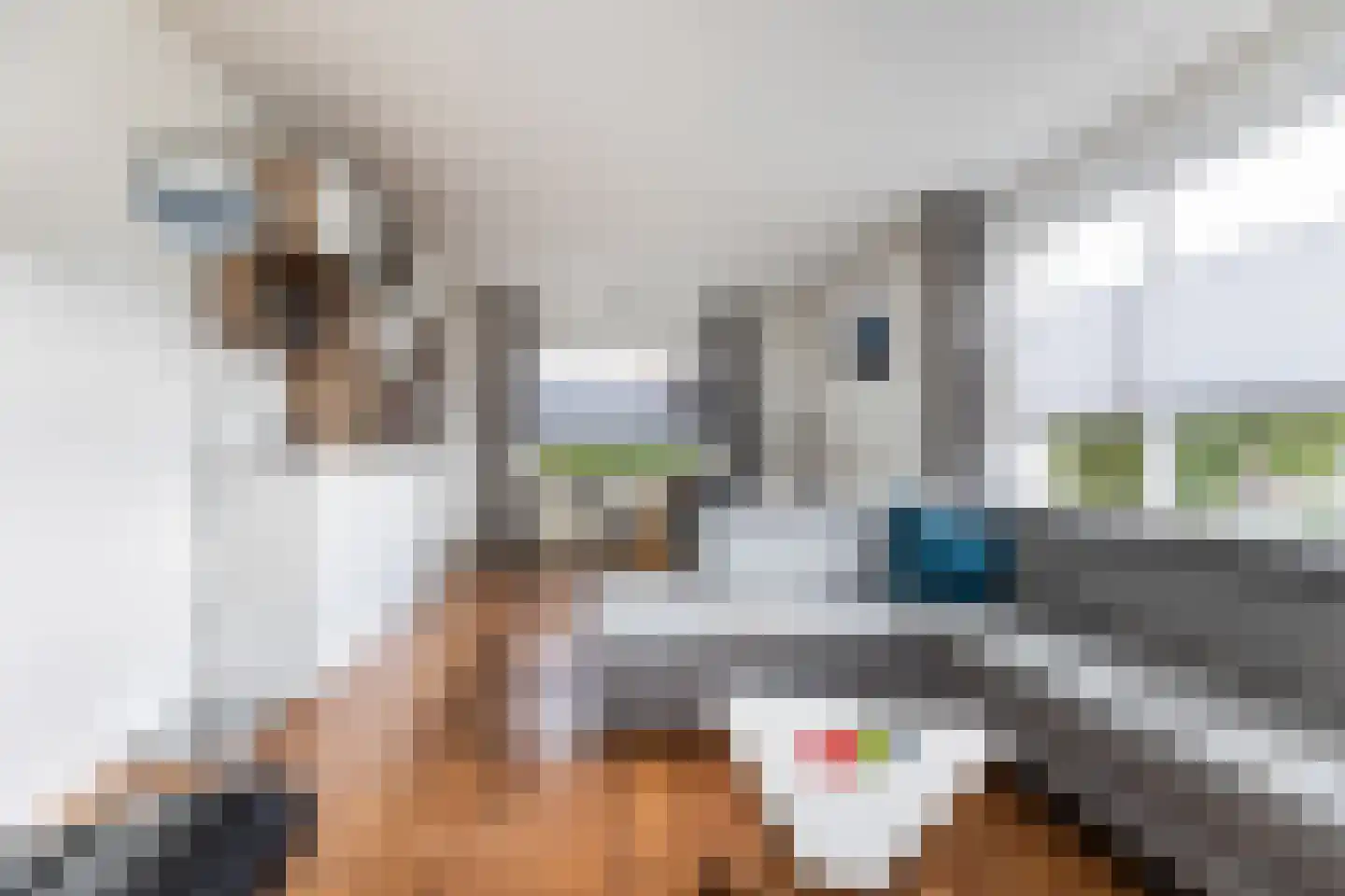 Wolweversstraat 10 Wezep thumbnail 13