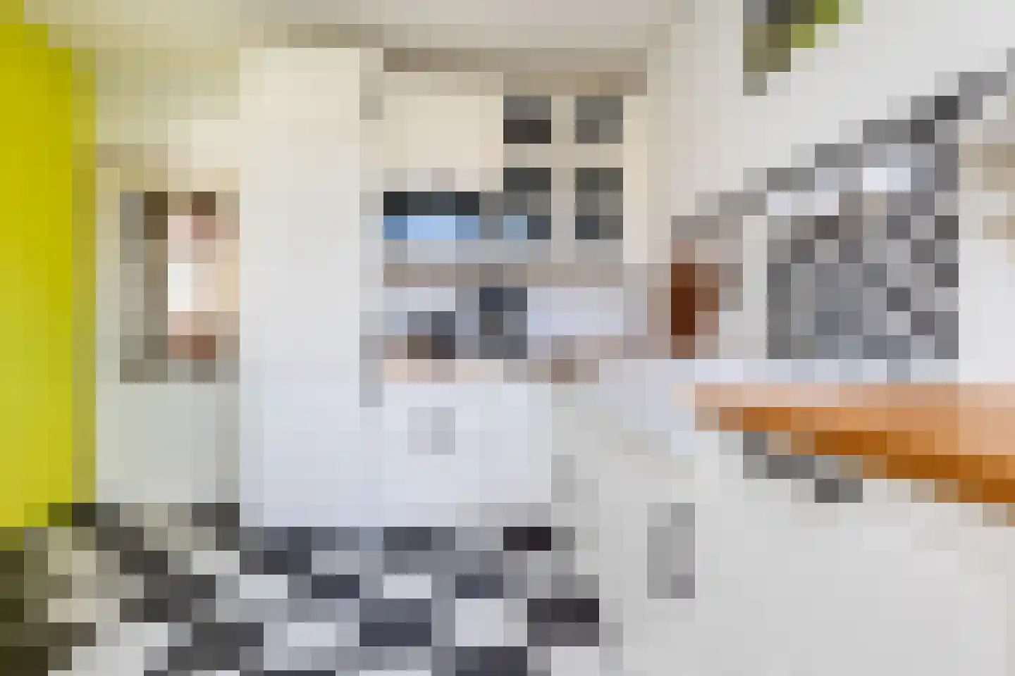 Wolweversstraat 10 Wezep thumbnail 19