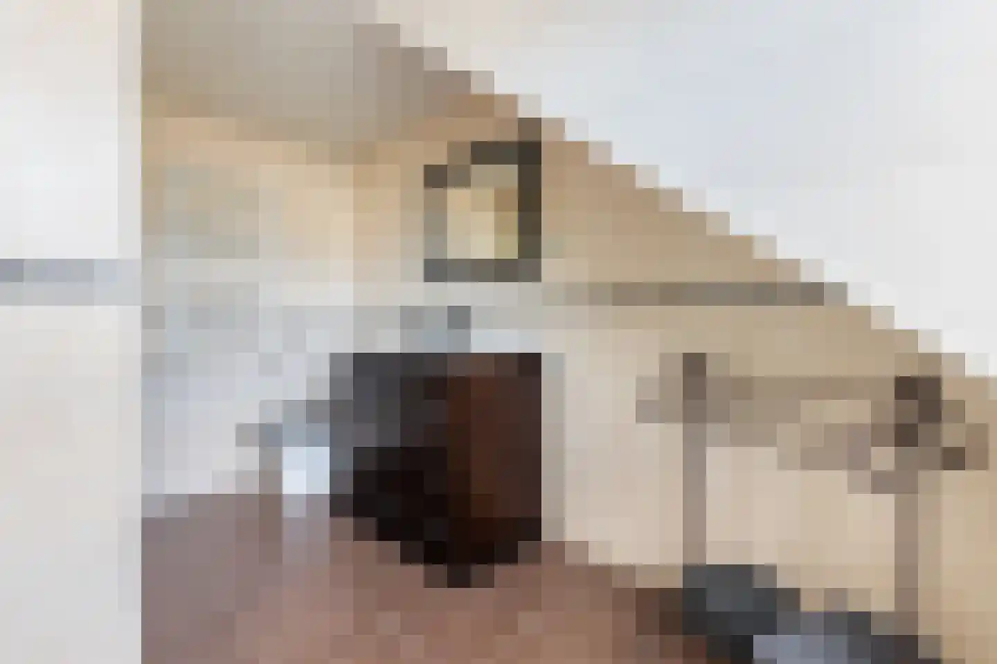 Wolweversstraat 10 Wezep thumbnail 24