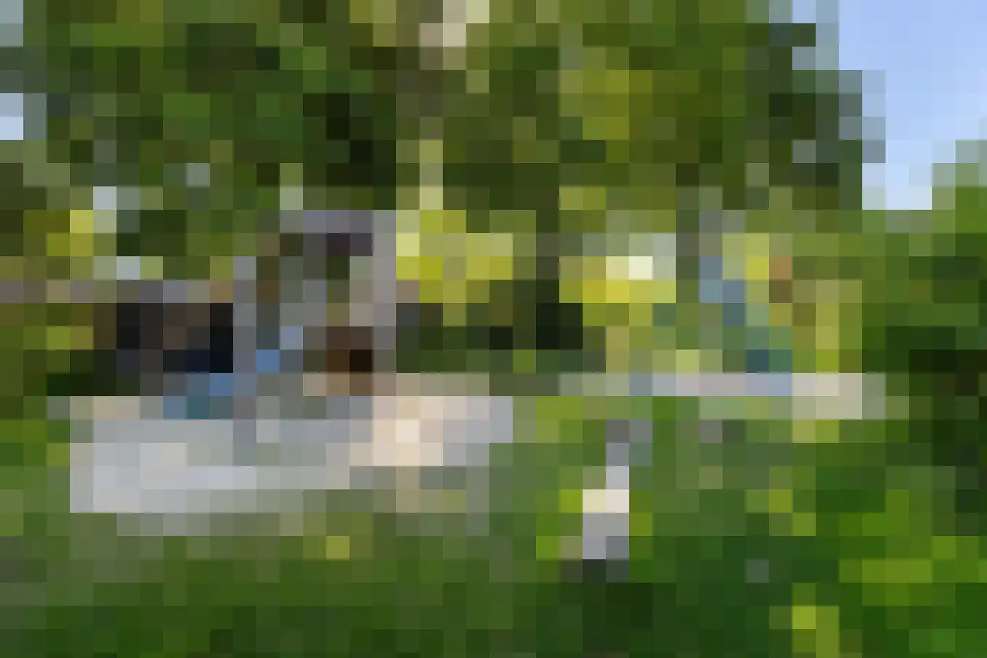 Wolweversstraat 11 Wezep thumbnail 38