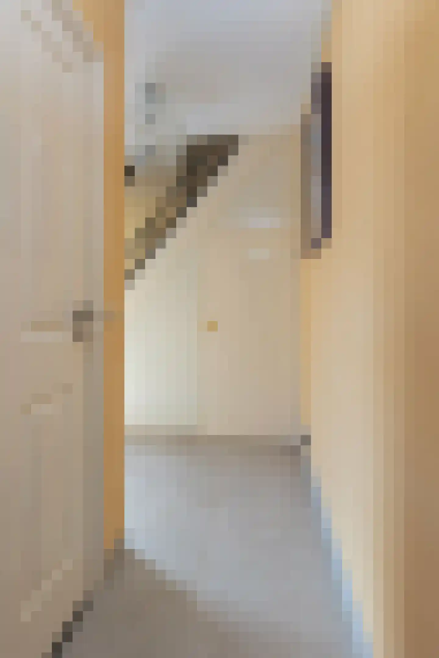 Wolweversstraat 14 Wezep thumbnail 17