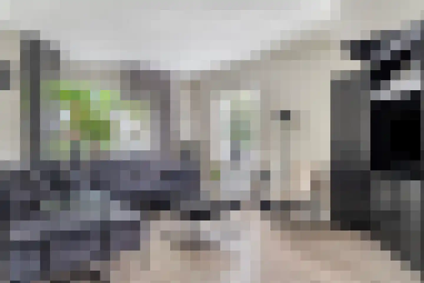 Wolweversstraat 19 Wezep thumbnail 12