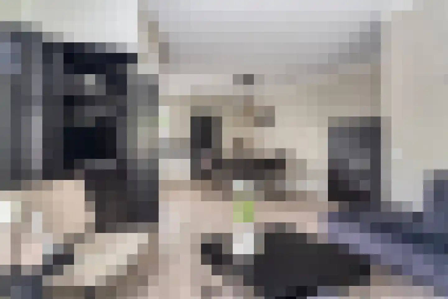 Wolweversstraat 19 Wezep thumbnail 13