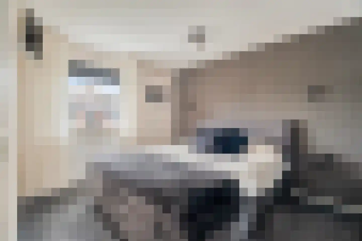 Wolweversstraat 19 Wezep thumbnail 20