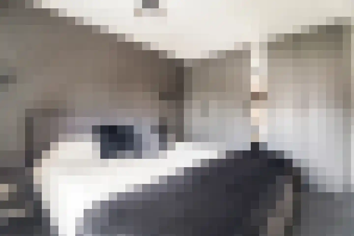 Wolweversstraat 19 Wezep thumbnail 21