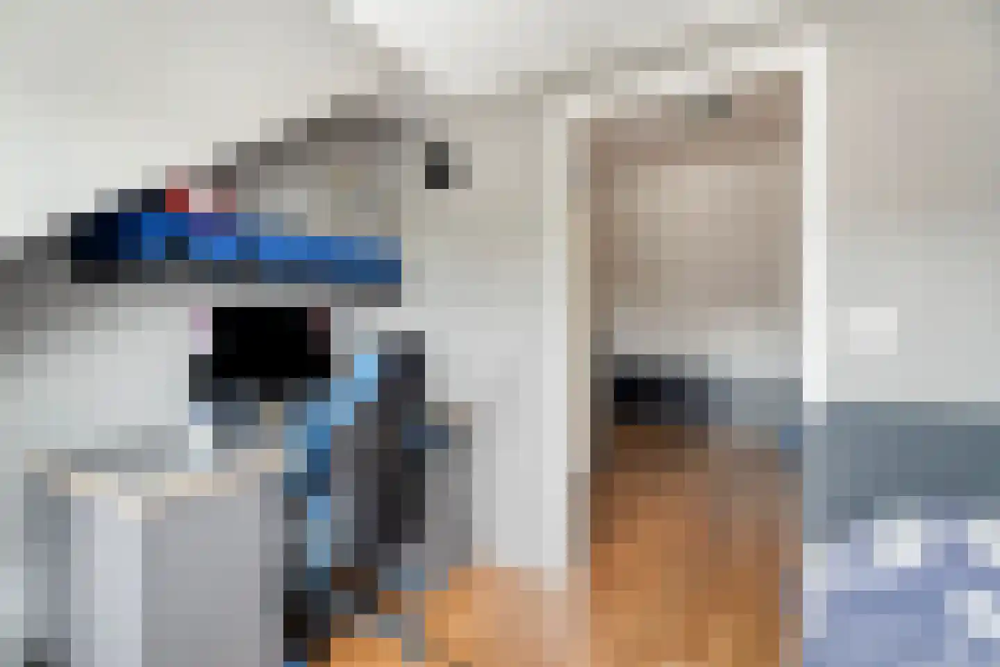 Wolweversstraat 19 Wezep thumbnail 30