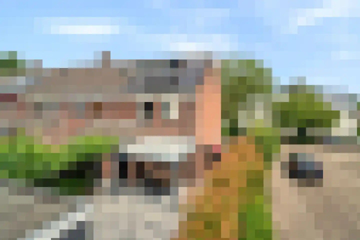 Wolweversstraat 19 Wezep thumbnail 8