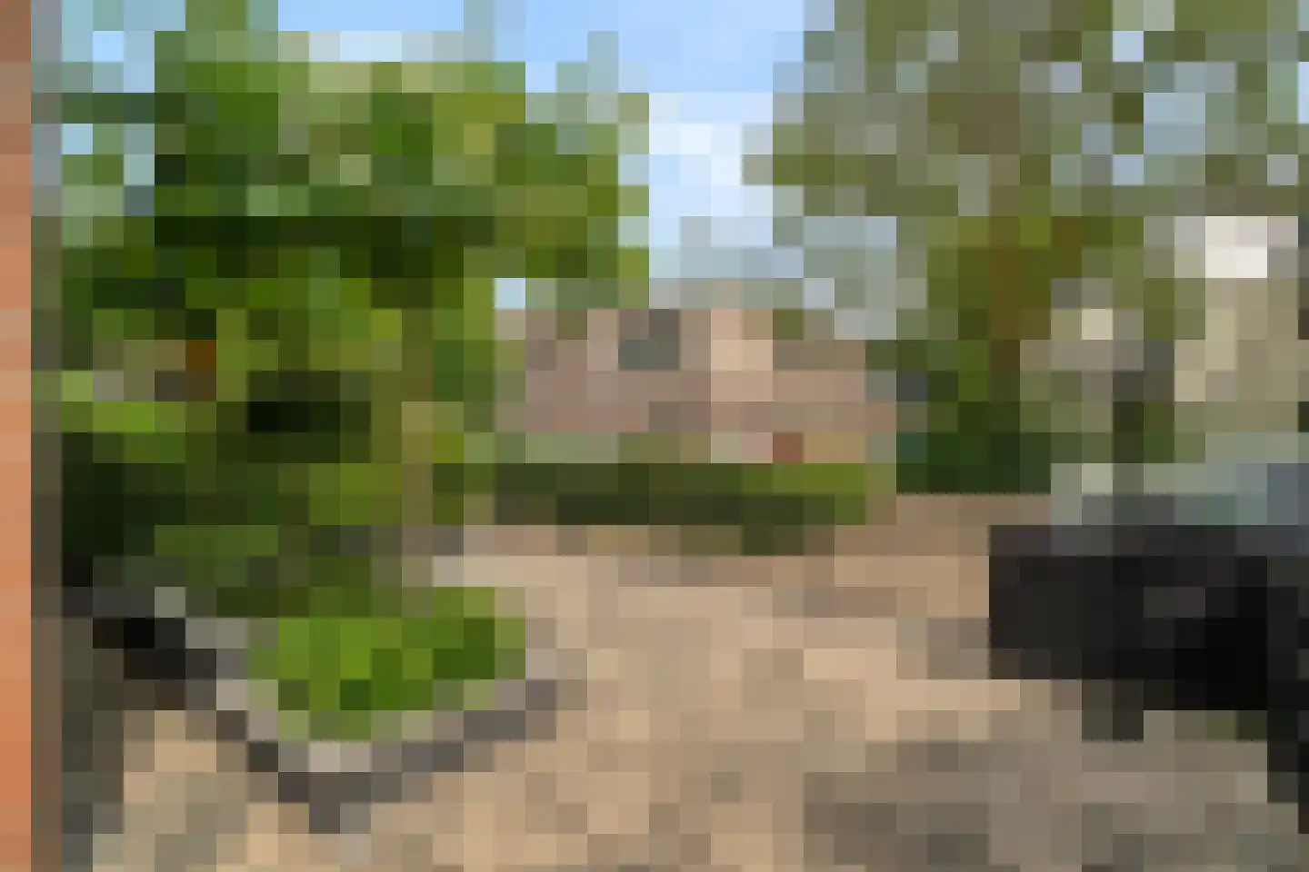 Wolweversstraat 19 Wezep thumbnail 9
