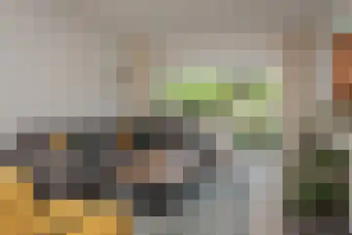 Wolweversstraat 43 Wezep thumbnail 13