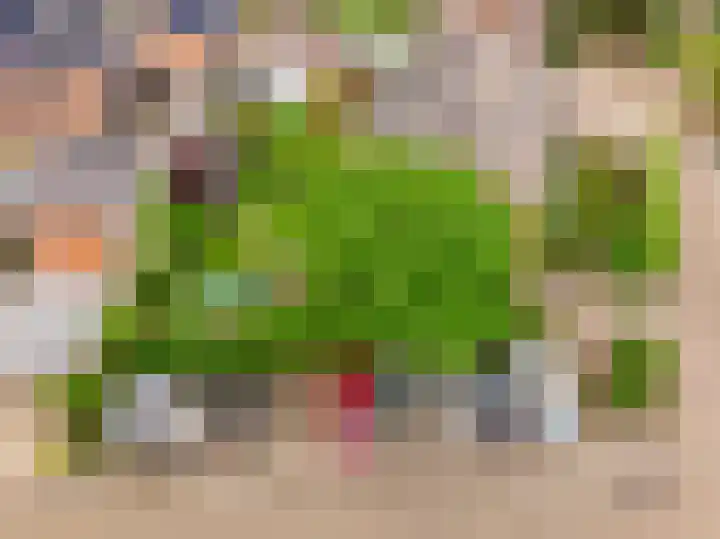 Wolweversstraat 43 Wezep thumbnail 61