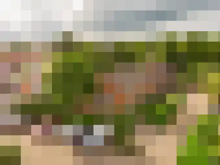 Wolweversstraat 43 Wezep thumbnail 62