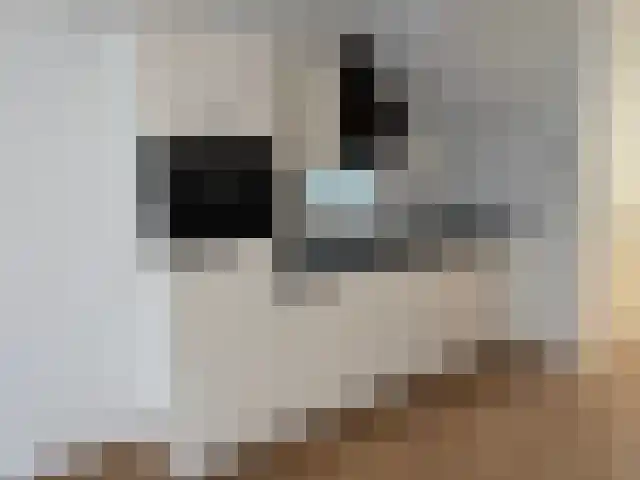 Wolweverstraat 12 A Zwolle thumbnail 4