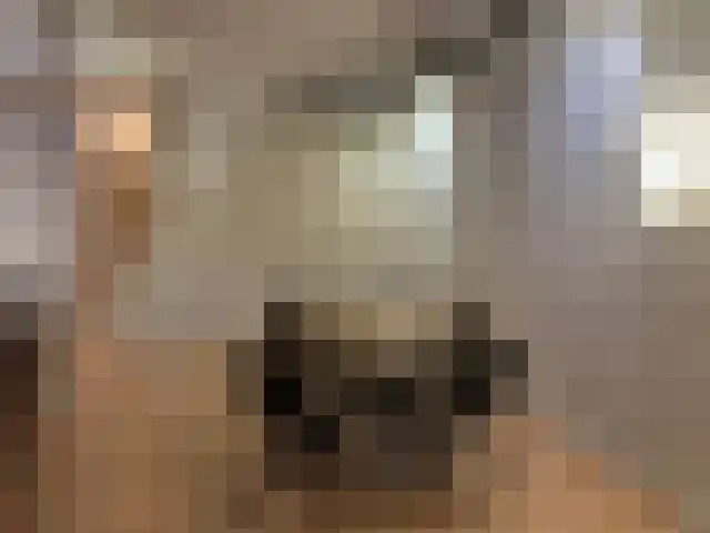 Wolweverstraat 12 Zwolle thumbnail 5
