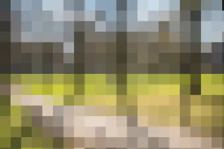 Wolweverstraat 24 Zwolle thumbnail 42