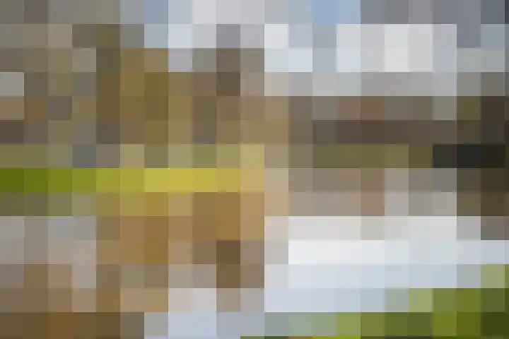 Wolweverstraat 24 Zwolle thumbnail 43