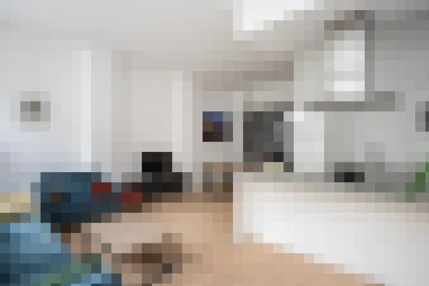 Wolweverstraat 28 Zwolle thumbnail 11