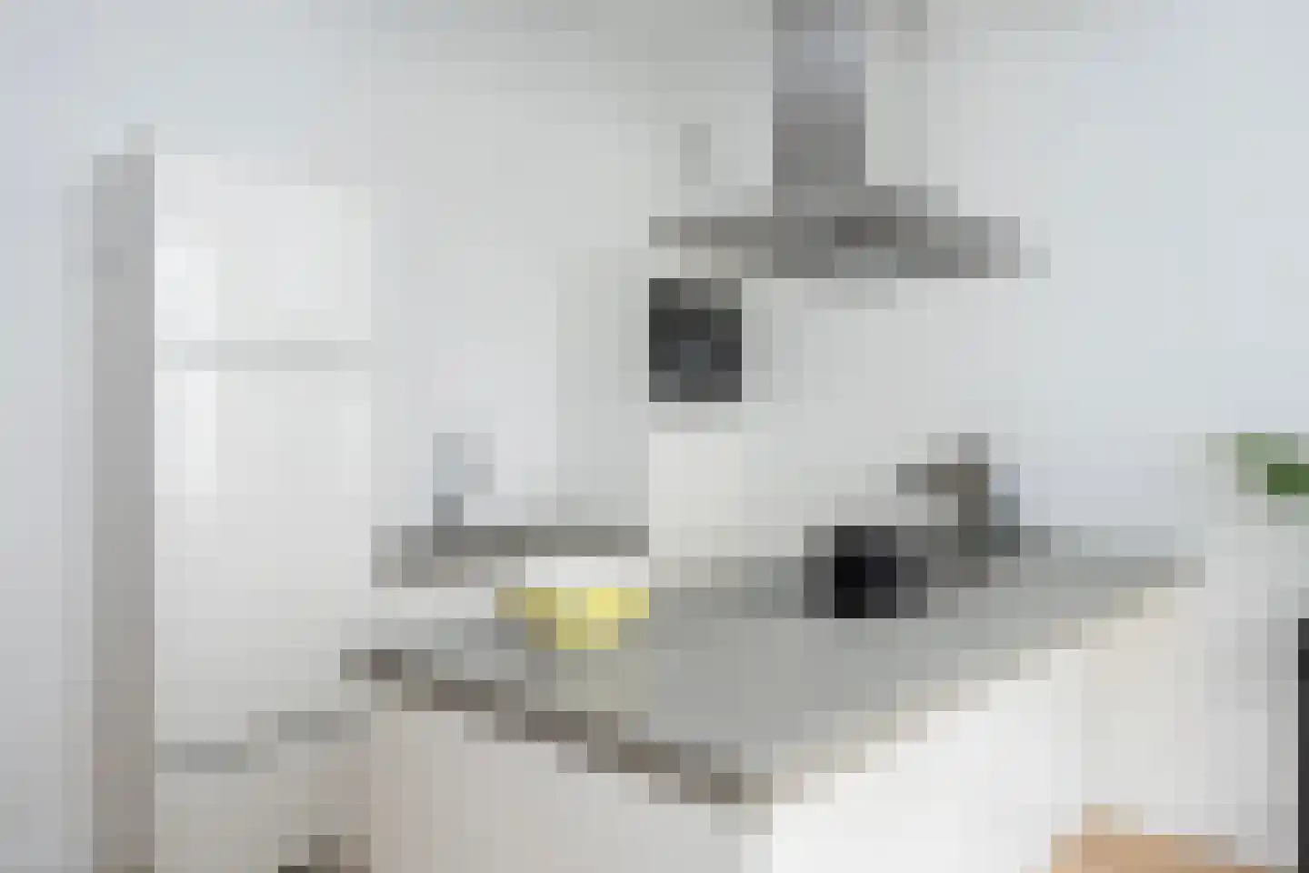 Wolweverstraat 28 Zwolle thumbnail 15