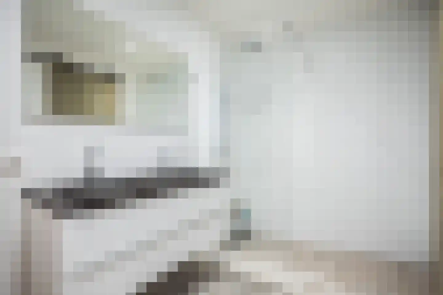 Wolweverstraat 28 Zwolle thumbnail 24
