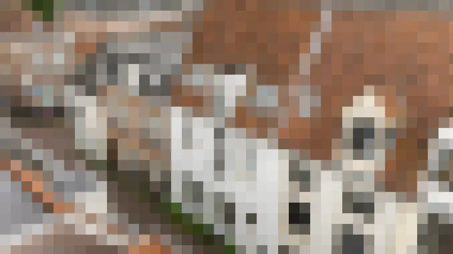 Wolweverstraat 28 Zwolle thumbnail 37