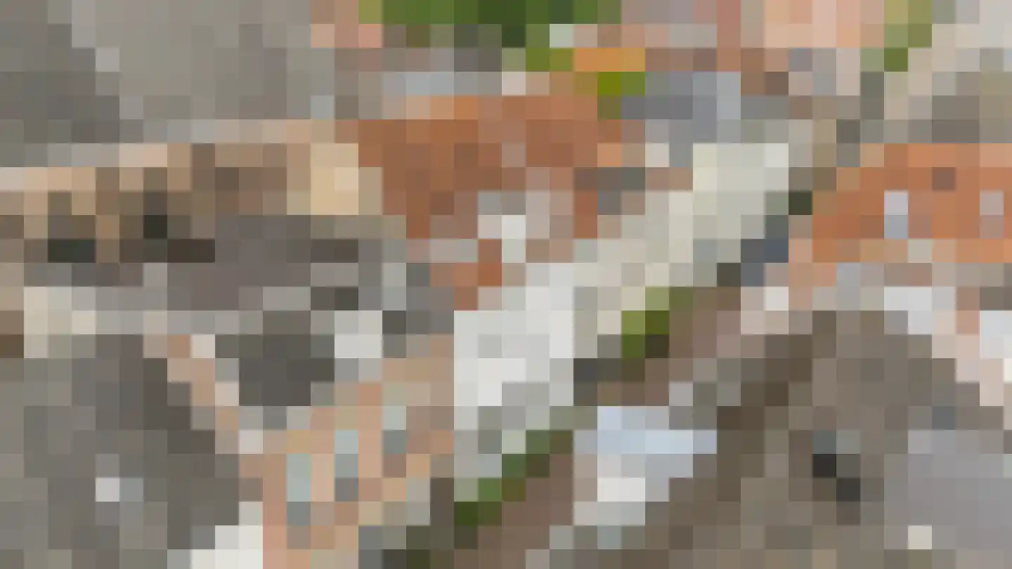 Wolweverstraat 28 Zwolle thumbnail 38