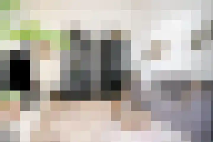 Wommelgemhof 16 Breda thumbnail 10